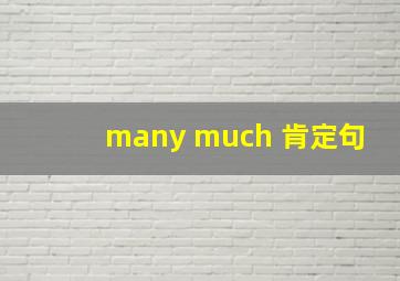 many much 肯定句